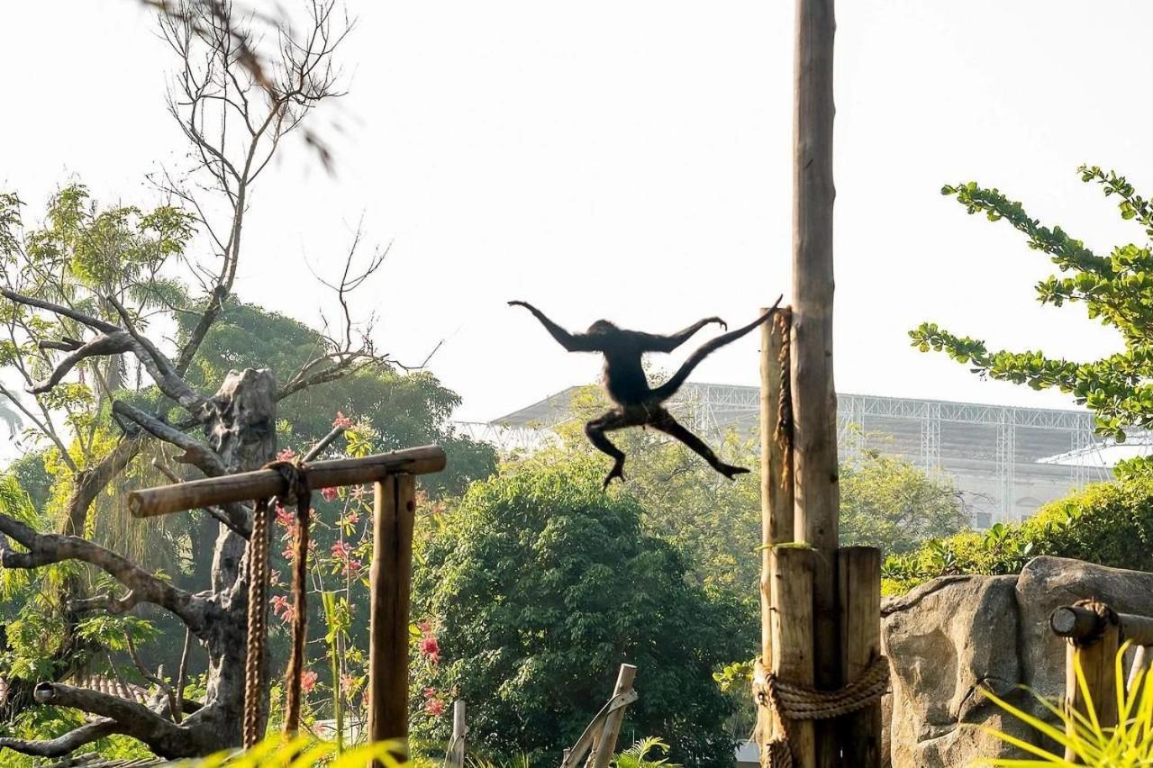 Must Leblon - Pacote: 4 Hospedes, Praia + 1 Ticket Rio de Janeiro Zewnętrze zdjęcie